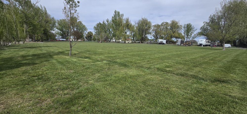 Higley's Lawn Care from Yelp