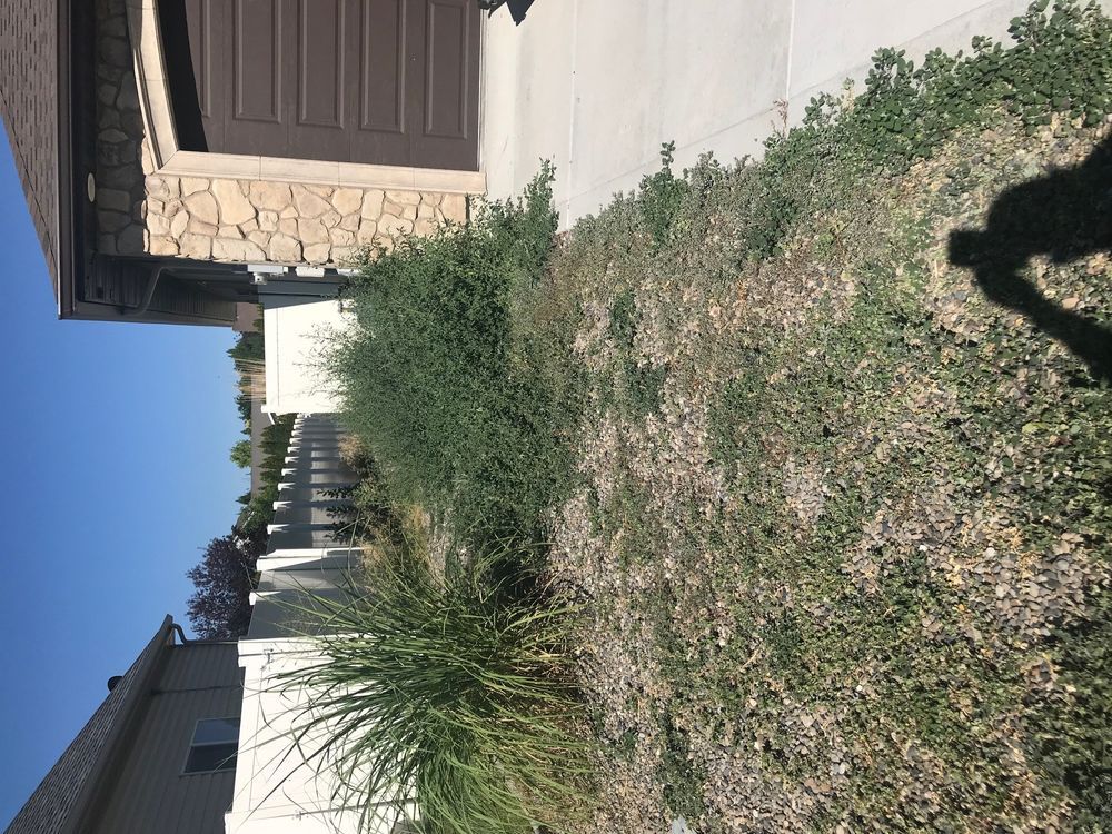Higley's Lawn Care from Yelp