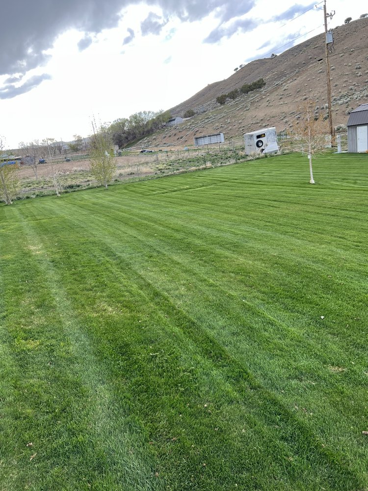 higley3