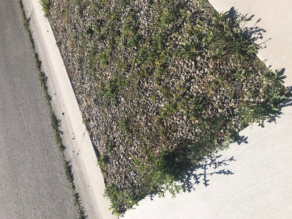 Higley's Lawn Care from Yelp