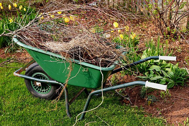yardclean