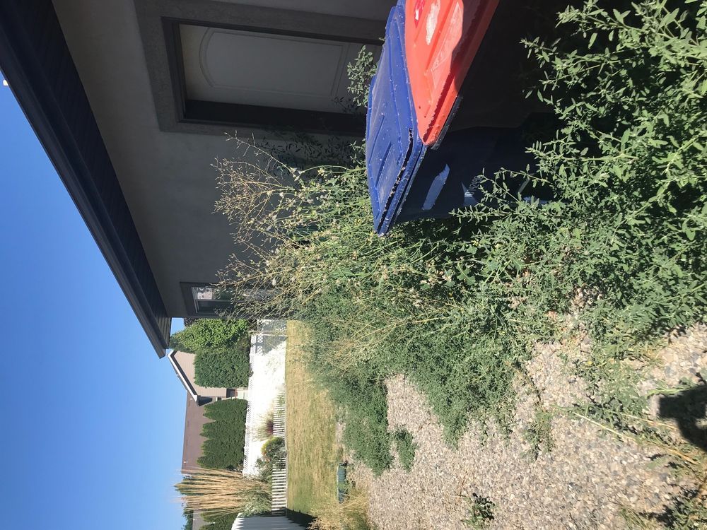 Higley's Lawn Care from Yelp