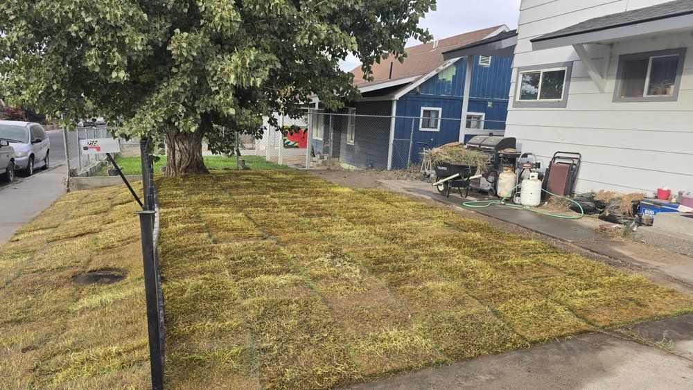 Higley's Lawn Care from Yelp
